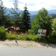 Отель Zornica Guest House Болгария, Чепеларе - отзывы, цены и фото номеров - забронировать отель Zornica Guest House онлайн фото 10