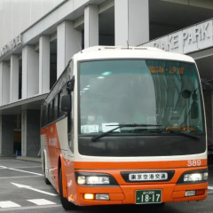 Tokyo Bay Ariake Washington Hotel городской автобус