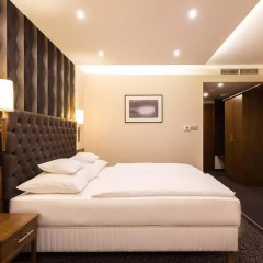 Szonyi Garden Hotel Pest 3* Номер категории Премиум с различными типами кроватей фото 4