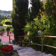 Отель Villa il Cedro Апартаменты фото 18