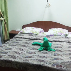 Хостел Home с домашними животными