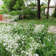 Отель Guest House Velena Болгария, Генерал-Кантраджиево - отзывы, цены и фото номеров - забронировать отель Guest House Velena онлайн