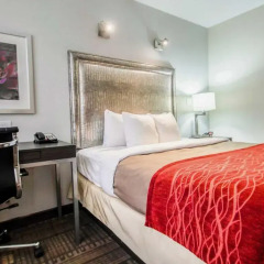 Отель Comfort Inn Midtown West 2* Стандартный номер с различными типами кроватей фото 5