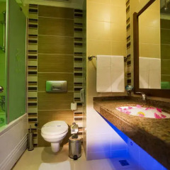 Belek Beach Resort Hotel 5* Стандартный номер с различными типами кроватей фото 22