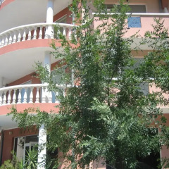 Отель Guest House Orchidea 3* Номер Делюкс фото 9
