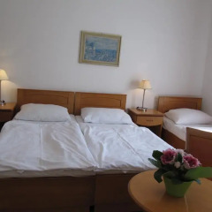 Hotel Jana / Pension Domov Mladeze Стандартный номер с различными типами кроватей (общая ванная комната) фото 6
