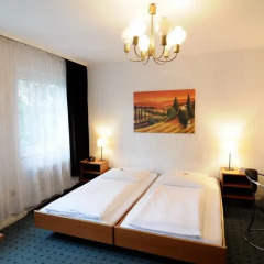 Отель Waldhotel Unterbach 2* Стандартный номер с двуспальной кроватью фото 6
