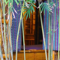 Отель Under the coconut tree Бунгало с различными типами кроватей фото 11
