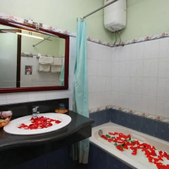 La Suisse Hotel 2* Номер Делюкс с различными типами кроватей