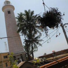 Отель Light House View Inn гостиничный бар