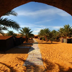 Отель Auberge Sahara Garden Марокко, Мерзуга - отзывы, цены и фото номеров - забронировать отель Auberge Sahara Garden онлайн фото 4