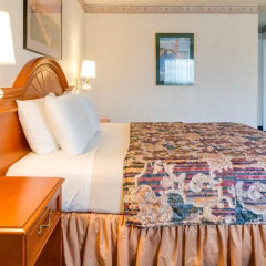 Отель Nob Hill Motor Inn 2* Номер Делюкс с различными типами кроватей