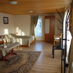 Гостиница Diana Guest House Стандартный номер разные типы кроватей фото 14