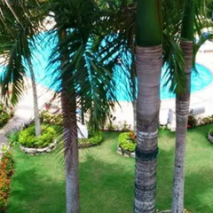 Отель Apartamentos En Boca Chica Mama Jo Доминикана, Бока Чика - отзывы, цены и фото номеров - забронировать отель Apartamentos En Boca Chica Mama Jo онлайн