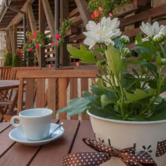 Апартаменты Green Life Family Apartments Pamporovo питание