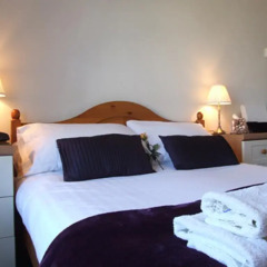 Отель Harvington House комната для гостей фото 5