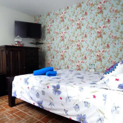 Отель Hostal Pajara Pinta Номер Делюкс с различными типами кроватей фото 3