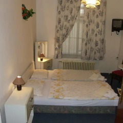 Отель Pension Brezina Prague 3* Номер с общей ванной комнатой фото 2
