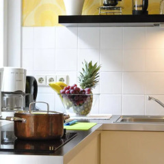 Отель Appartement Dresden Германия, Дрезден - отзывы, цены и фото номеров - забронировать отель Appartement Dresden онлайн в номере фото 2