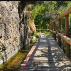 Отель Camping Ruta Del Purche