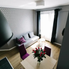 Отель Renttner Apartamenty Студия с различными типами кроватей фото 24