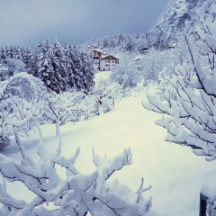 Отель Casa Ciliegi Фай-делла-Паганелла фото 4