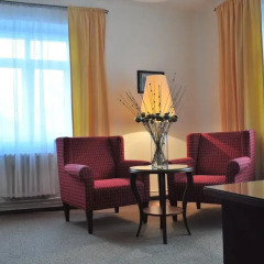 Hotel Svornost 3* Люкс с различными типами кроватей фото 6