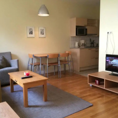 Апартаменты Vilnius Apartments - Vingriai Вильнюс комната для гостей фото 4