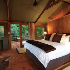 Отель Addo Elephant Back Safaris and Lodge Южная Африка, Аддо - отзывы, цены и фото номеров - забронировать отель Addo Elephant Back Safaris and Lodge онлайн комната для гостей фото 2