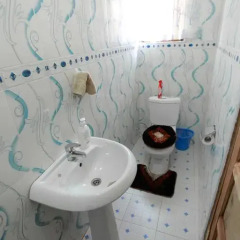 Отель Larry Dort Guest House ванная