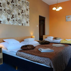 Hotel Papillon 3* Стандартный номер с различными типами кроватей фото 2