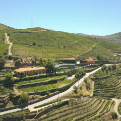 Отель Quinta do Vallado Португалия, Пезу-да-Регуа - отзывы, цены и фото номеров - забронировать отель Quinta do Vallado онлайн балкон