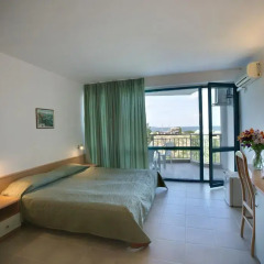 Отель Sirena 3* Стандартный номер с различными типами кроватей фото 6