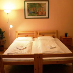 Отель Walking Bed Budapest Market Hall Венгрия, Будапешт - отзывы, цены и фото номеров - забронировать отель Walking Bed Budapest Market Hall онлайн комната для гостей