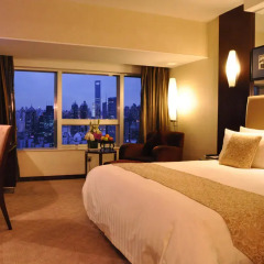 Shanghai Grand Trustel Purple Mountain Hotel 5* Номер Делюкс с двуспальной кроватью
