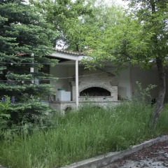OWL Hostel and more