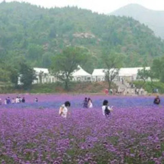 Отель Tianyuan Muge Ecological Resort фото 3