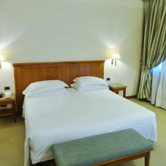 Hotel Excelsior Magenta Маджента комната для гостей фото 3