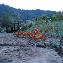 Отель Haciendas del Valle - Las Kentias фото 4