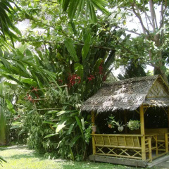 Отель Chez Charly Bungalow 3* Бунгало с различными типами кроватей фото 10