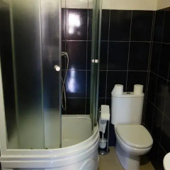 Гостиница Diana Guest House Стандартный номер разные типы кроватей фото 26