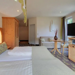 Отель Akzent Waldhotel Rheingau 4* Номер Комфорт с различными типами кроватей