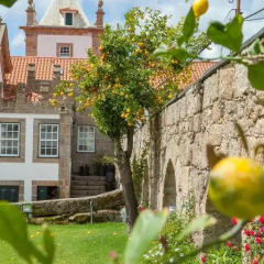 Отель Casa de Quintã Португалия, Синфайнш - отзывы, цены и фото номеров - забронировать отель Casa de Quintã онлайн фото 11