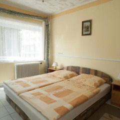 Отель Oleander Apartman комната для гостей фото 2