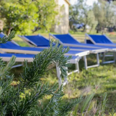 Отель Agriturismo Greppo All'olivo Кастаньето-Кардуччи