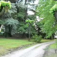 Отель Appartamento in villa d'epoca фото 5