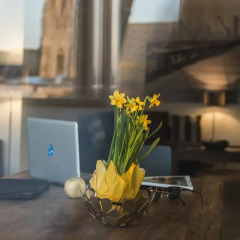 Отель Penthouse Stephansplatz Люкс с различными типами кроватей фото 9