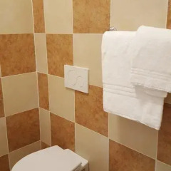 Hotel Delle Camelie 2* Стандартный номер с двуспальной кроватью фото 9