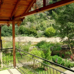Гостевой Дом Dionysos Lodge Стандартный номер с двуспальной кроватью фото 9