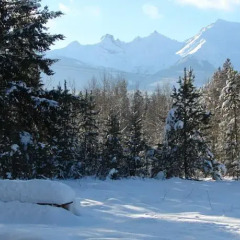 Отель Mica Mountain Lodge & Log Cabins спортивное сооружение